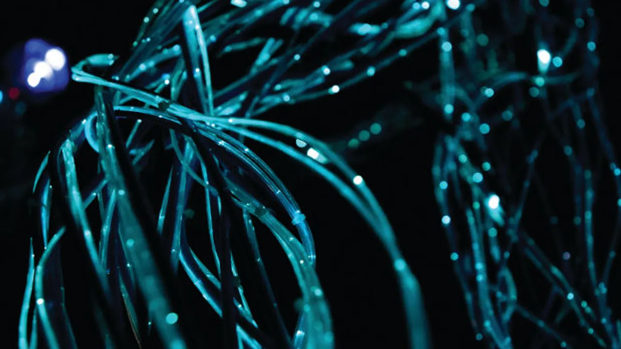Guidewire creates new insurtech information initiative