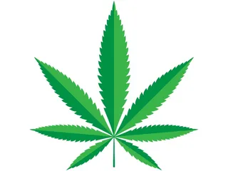 shutterstock_cannabis-1