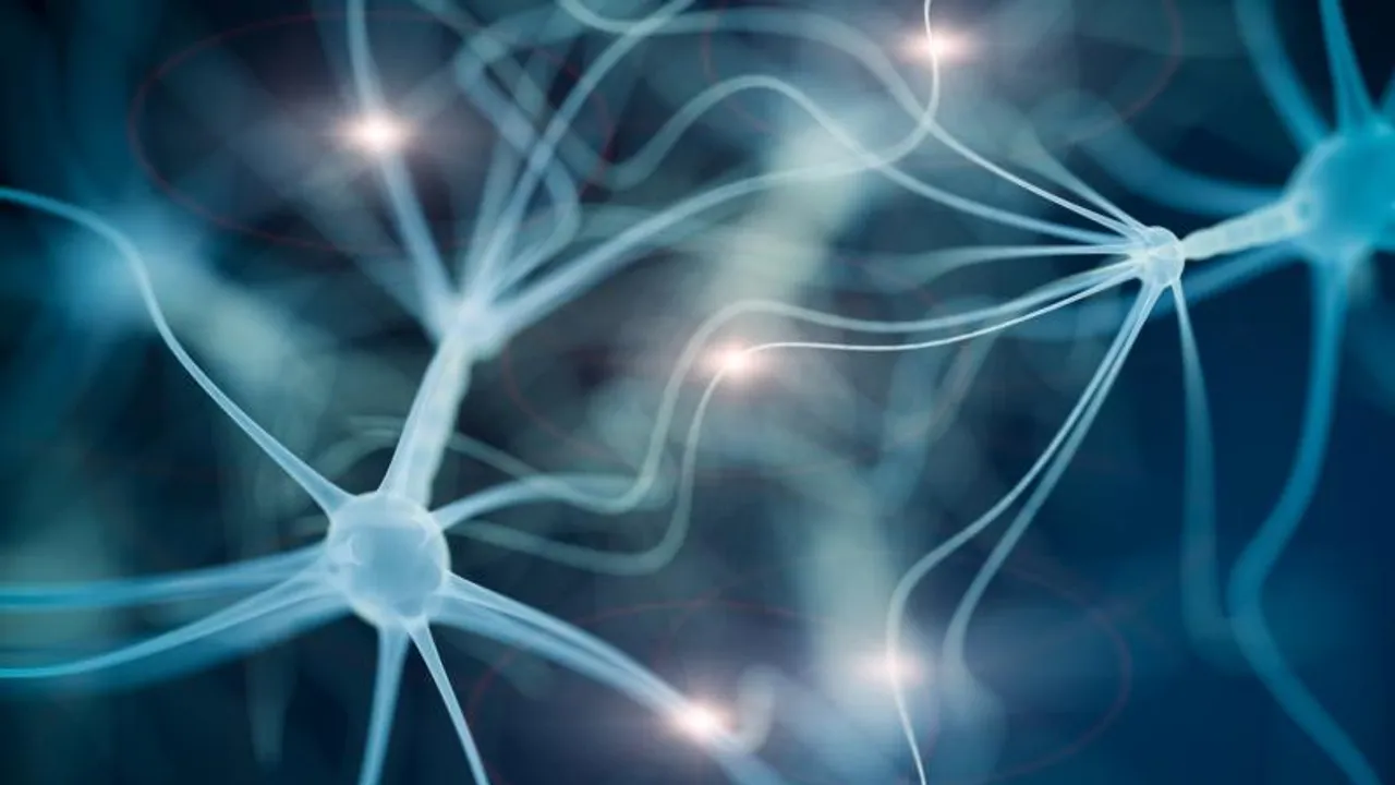 Protected cells: from captives to insurtechs