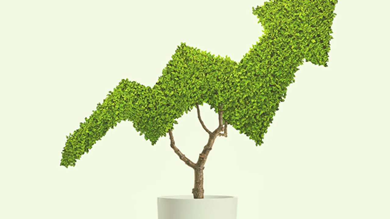 Cayman's growing insurance sector
