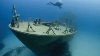 Perils of the sea, and other captive tails
