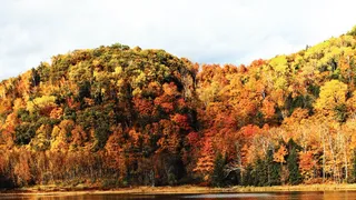 Vermont: put your company in good hands