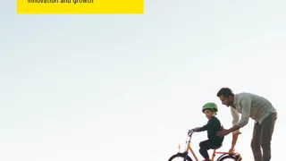 Captives are no longer ‘alternative risk transfer’: EY