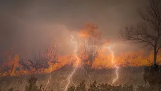 Willis highlights ‘New era of climate extremes’ as natural catastrophe losses stay elevated