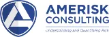 AmeRisk Consulting