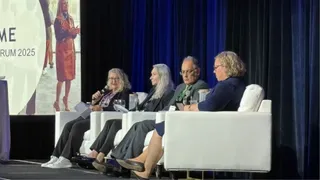 Directors of captives under the microscope