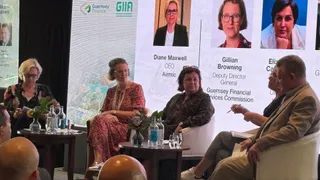 Guernsey panel highlights proportionality and accountability in captive governance